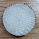 Baumscheibe Buche, rund 7-10 cm
